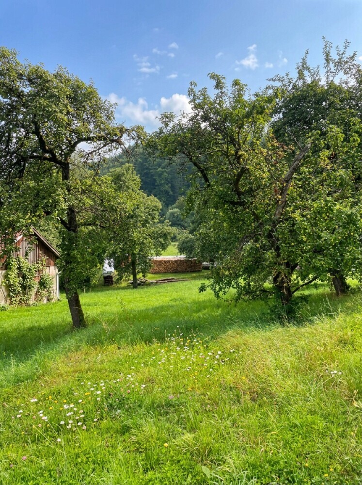 Baugrundstück Weigendorf 2 ki 004