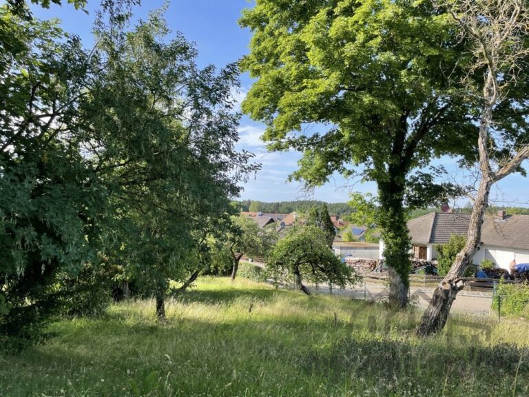 Ansicht Grundstück Pyrbaum22