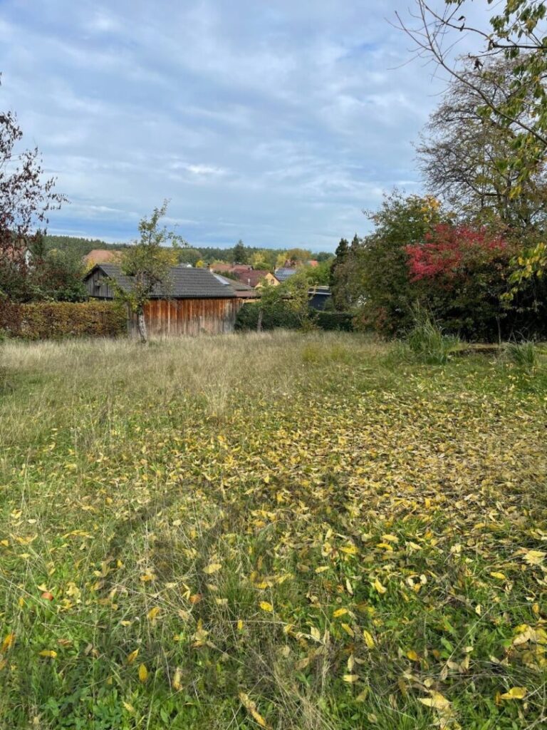 d086ec84-815b-4add-af24-3635d8ea6e51