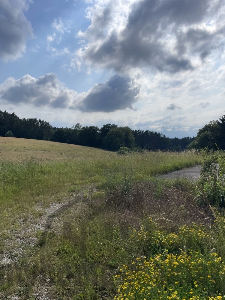 Baugrundstück Laipersdorf  image002