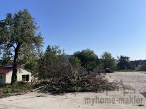 Baugrundstück Thalmässing  010