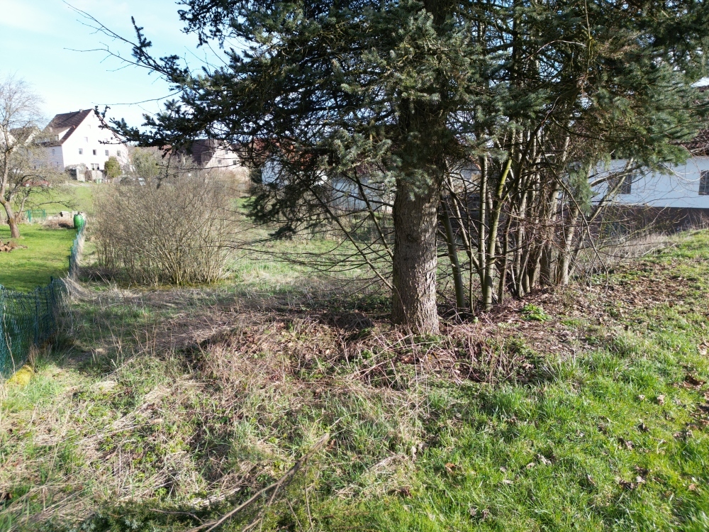 Baugrundstück Wilhelmsdorf Kirschenweg image005