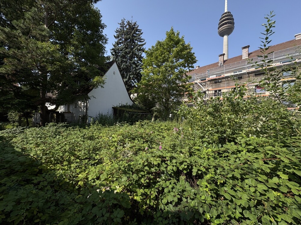 Bugrundstück Nürnberg 011