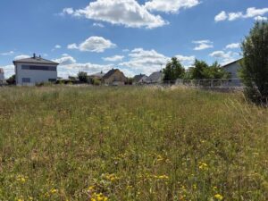 BG Langenzenn IMG_0516