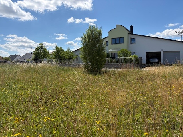 BG Langenzenn IMG_0515