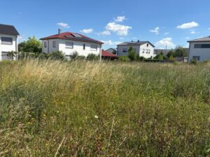 BG Langenzenn IMG_0514