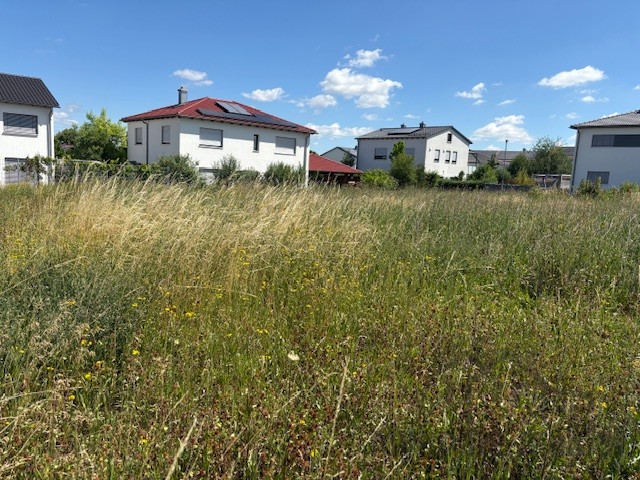 BG Langenzenn IMG_0514