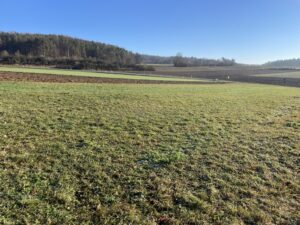 BG Weigendorf image001