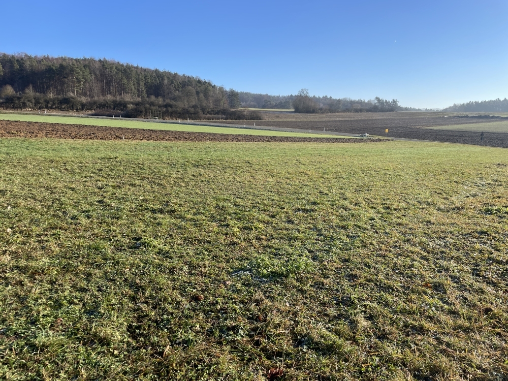 BG Weigendorf image001