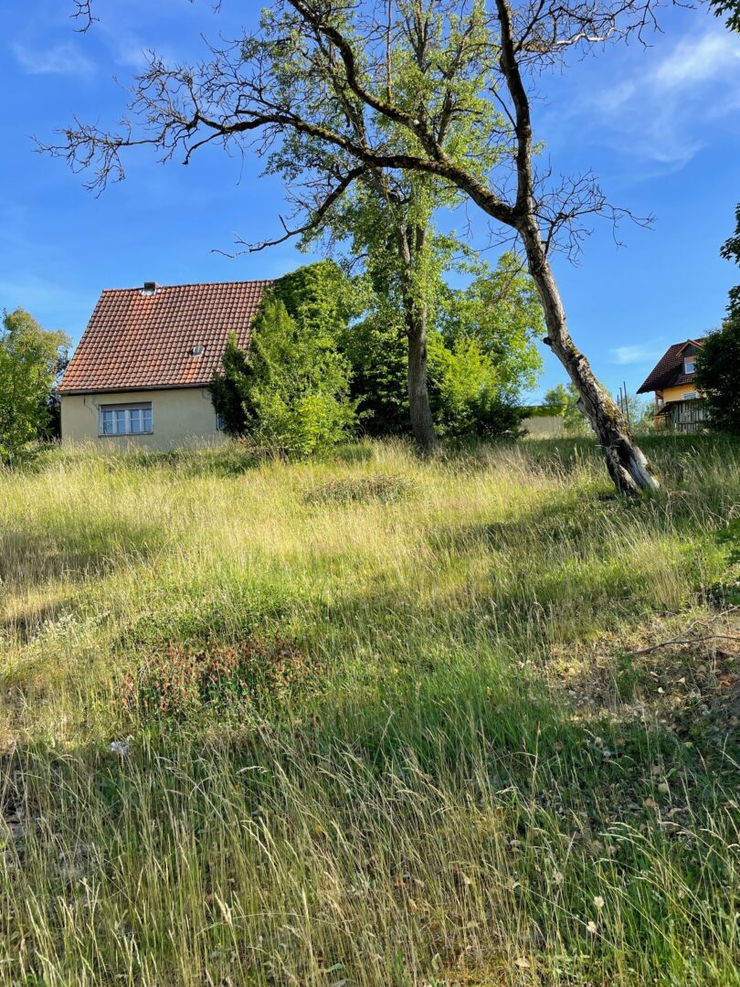 Baugrundstück 5 mit Altbestand