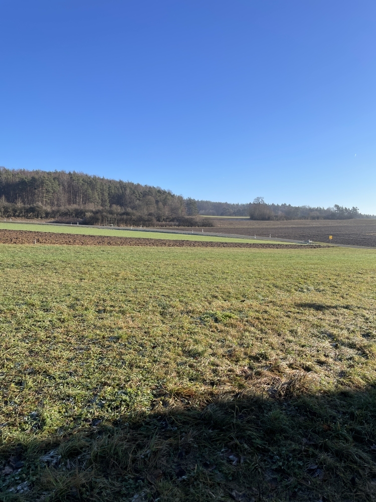 BG Weigendorf image003