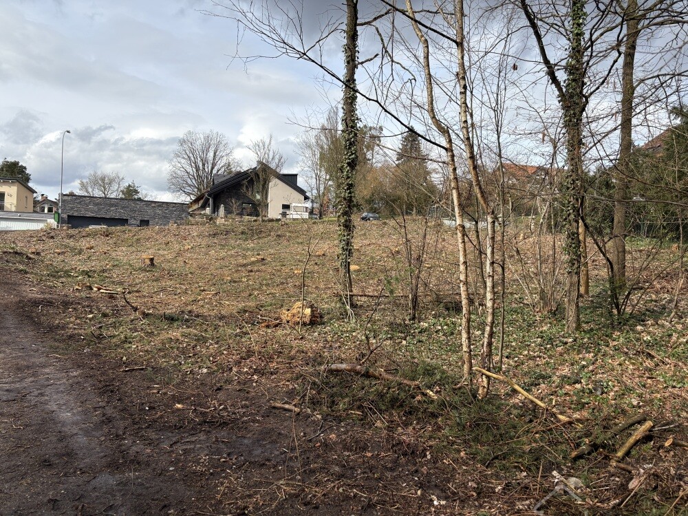 Baugrundstück Röttenbach 006