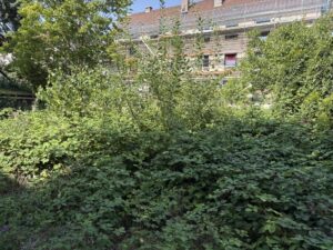 Bugrundstück Nürnberg 007 - Kopie