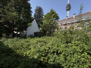 Bugrundstück Nürnberg 011