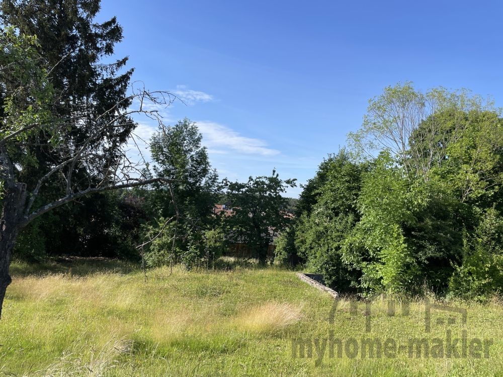 Ansicht Grundstück Pyrbaum15