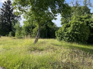 Ansicht Grundstück Pyrbaum19