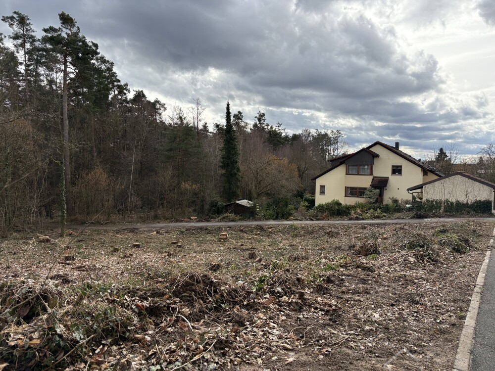 Baugrundstück Röttenbach 013