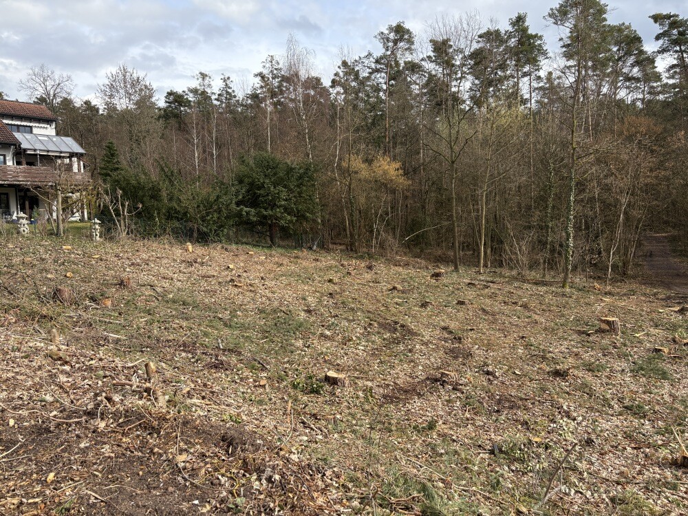 Baugrundstück Röttenbach 011