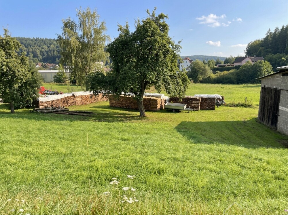 Baugrundstück Weigendorf 2 ki 007