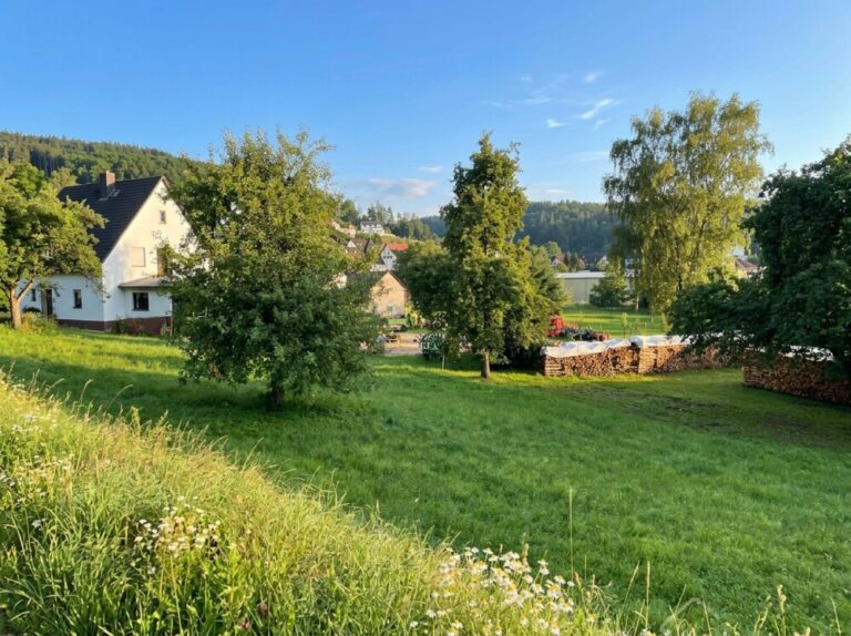 Baugrundstück Weigendorf 2 ki 009