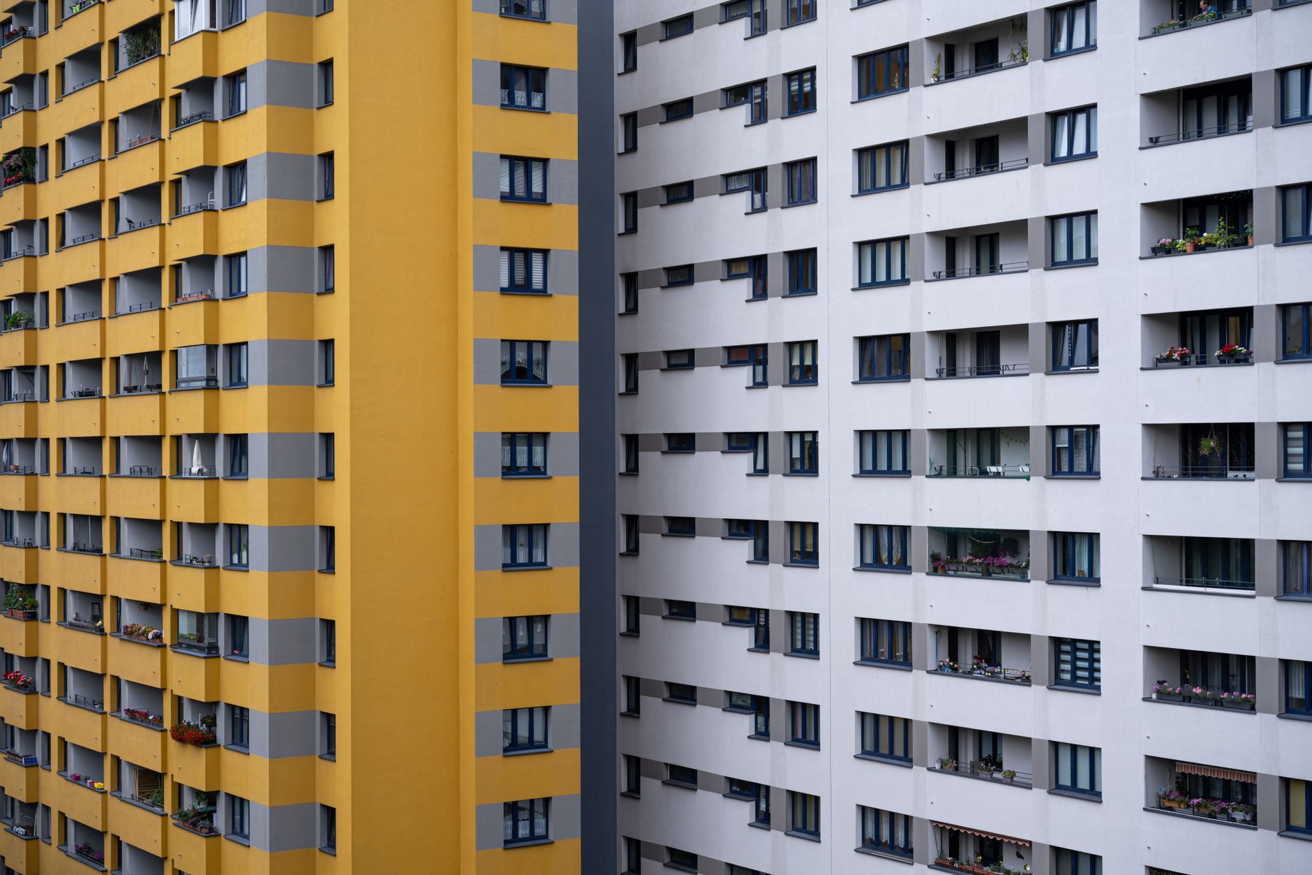 Immobilienpreise 2026: Preisdynamik lässt spürbar nach
