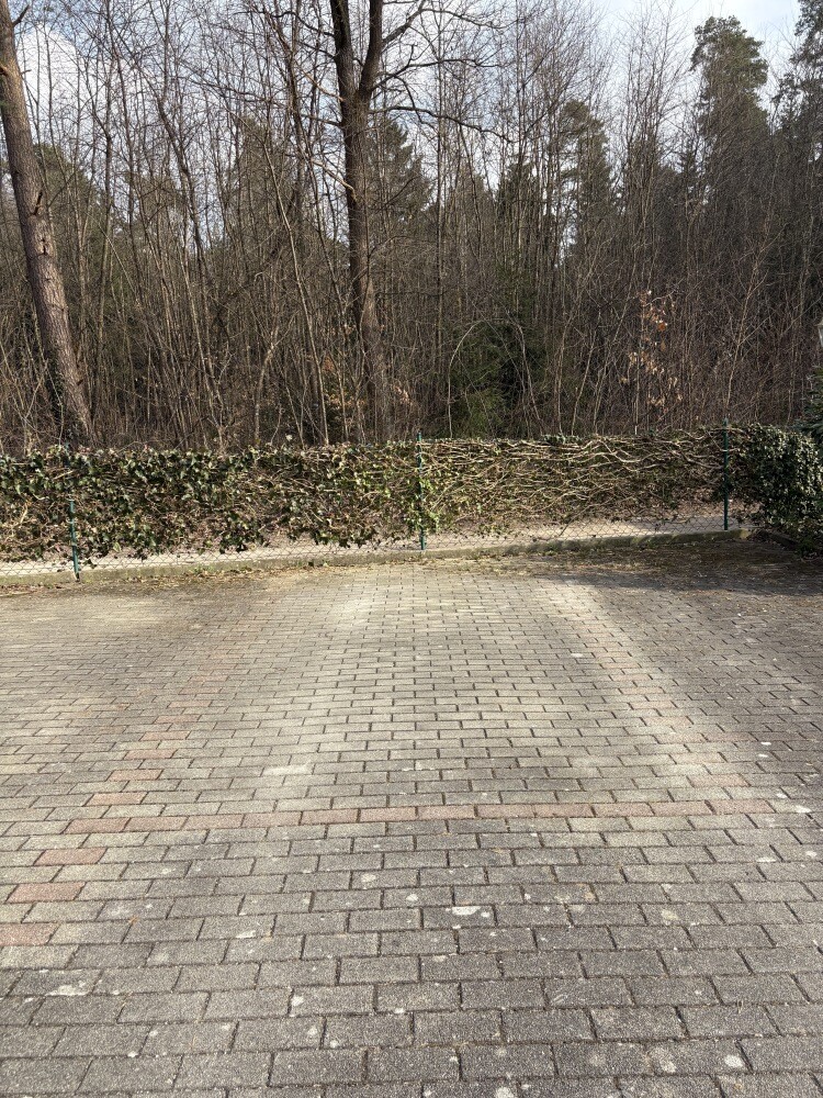 ETW Neda Feucht 043