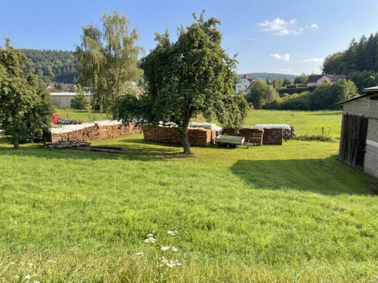 Baugrundstück Weigendorf 2 ki 007
