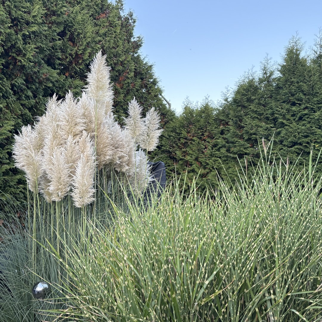 ETW 01236-Mo 064 Garten