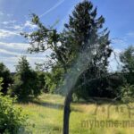 Ansicht Grundstück Pyrbaum17