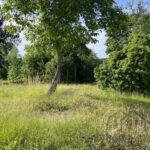 Ansicht Grundstück Pyrbaum19