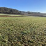 BG Weigendorf image001