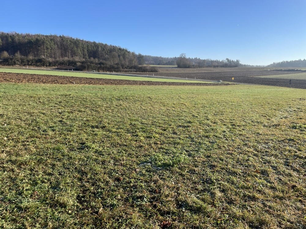 BG Weigendorf image001