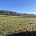 BG Weigendorf image003