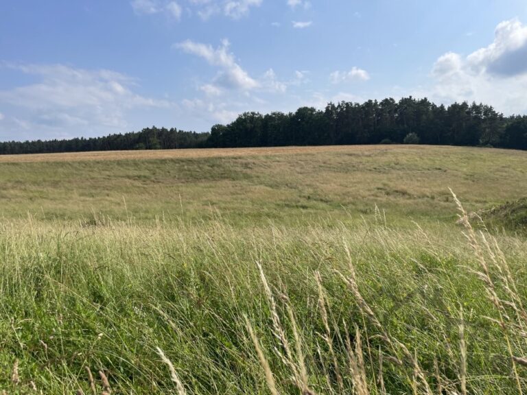 Baugrundstück am Ortsrand mit unverbauten Blick in Schnaittach Laipersdorf