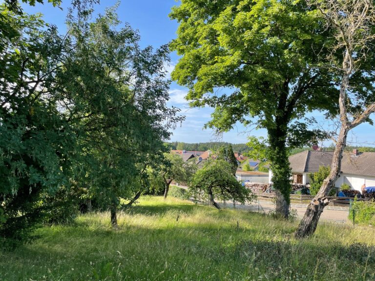 neues super schönes Baugrundstück für Einfamlienhäuser in Pyrbaum